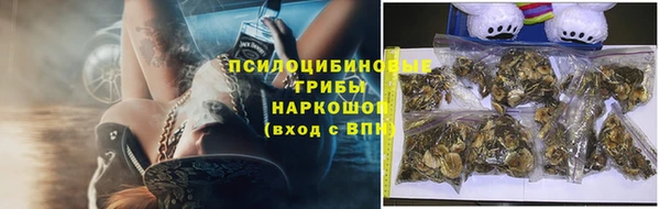 дживик Аркадак