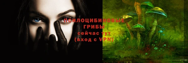 дживик Аркадак