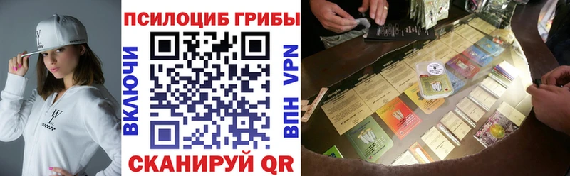 Псилоцибиновые грибы мицелий  купить наркоту  Вольск 